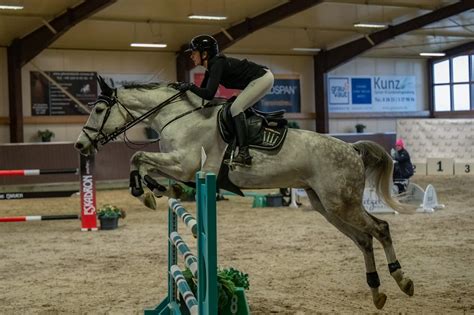 springreitturniere